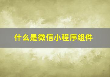 什么是微信小程序组件