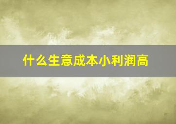 什么生意成本小利润高