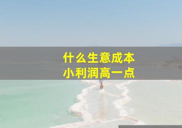 什么生意成本小利润高一点