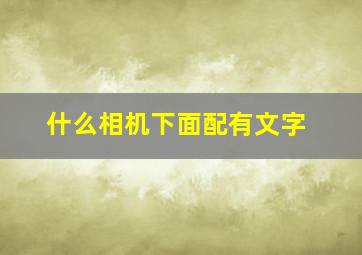 什么相机下面配有文字