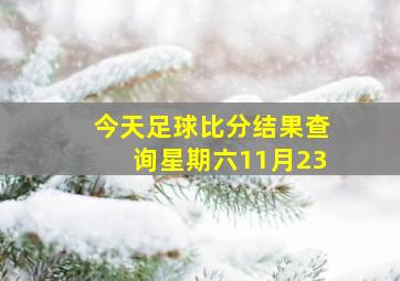 今天足球比分结果查询星期六11月23