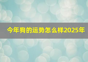 今年狗的运势怎么样2025年