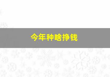 今年种啥挣钱