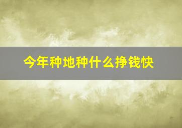 今年种地种什么挣钱快