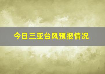 今日三亚台风预报情况