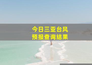 今日三亚台风预报查询结果