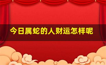 今日属蛇的人财运怎样呢