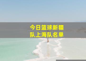 今日篮球新疆队上海队名单