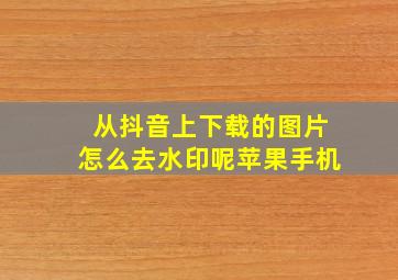 从抖音上下载的图片怎么去水印呢苹果手机