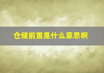 仓储前置是什么意思啊