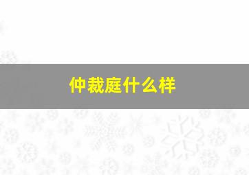 仲裁庭什么样