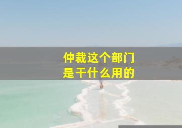 仲裁这个部门是干什么用的