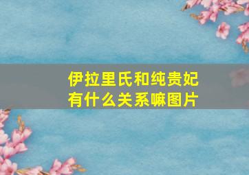 伊拉里氏和纯贵妃有什么关系嘛图片