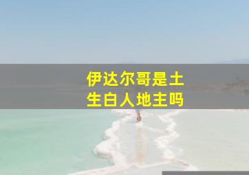 伊达尔哥是土生白人地主吗