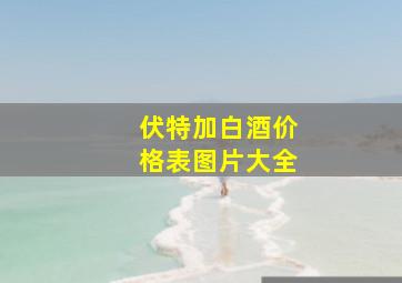 伏特加白酒价格表图片大全