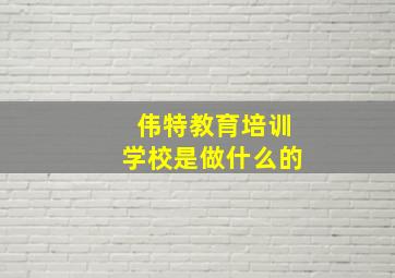 伟特教育培训学校是做什么的