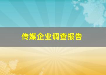 传媒企业调查报告