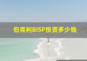 伯克利BISP投资多少钱