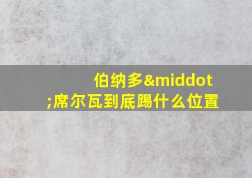 伯纳多·席尔瓦到底踢什么位置