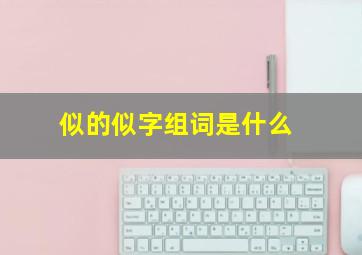 似的似字组词是什么