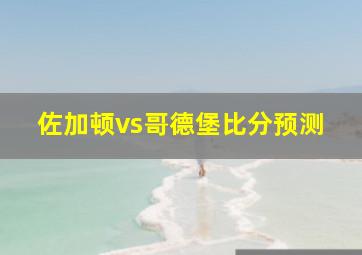 佐加顿vs哥德堡比分预测