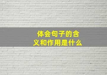 体会句子的含义和作用是什么