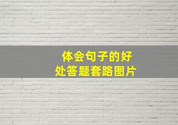 体会句子的好处答题套路图片