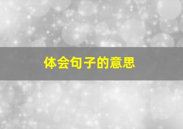 体会句子的意思