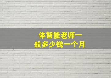 体智能老师一般多少钱一个月