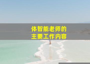 体智能老师的主要工作内容