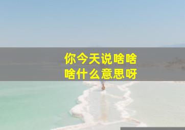 你今天说啥啥啥什么意思呀