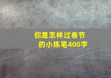 你是怎样过春节的小练笔400字