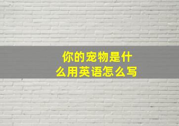 你的宠物是什么用英语怎么写