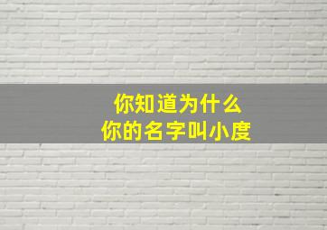 你知道为什么你的名字叫小度