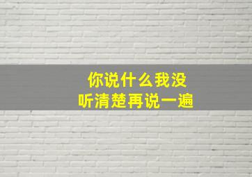 你说什么我没听清楚再说一遍