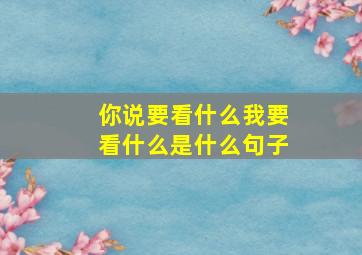 你说要看什么我要看什么是什么句子