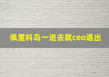 佩里科岛一进去就ceo退出