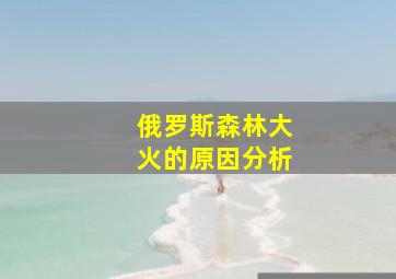 俄罗斯森林大火的原因分析