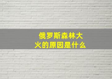 俄罗斯森林大火的原因是什么