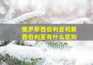 俄罗斯西伯利亚和新西伯利亚有什么区别