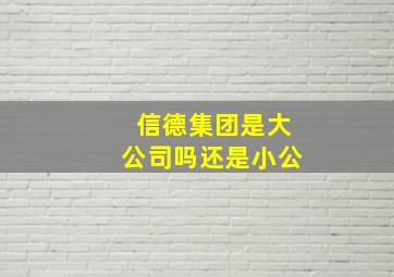 信德集团是大公司吗还是小公