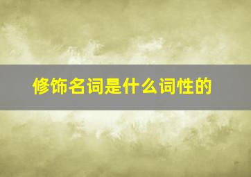 修饰名词是什么词性的