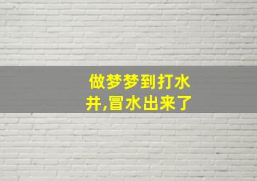 做梦梦到打水井,冒水出来了