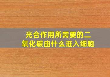 光合作用所需要的二氧化碳由什么进入细胞