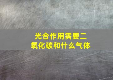 光合作用需要二氧化碳和什么气体