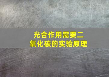 光合作用需要二氧化碳的实验原理