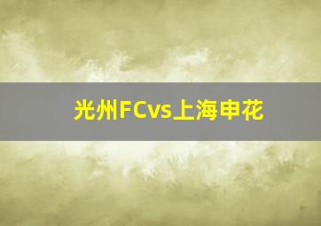 光州FCvs上海申花