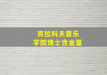 克拉科夫音乐学院博士含金量