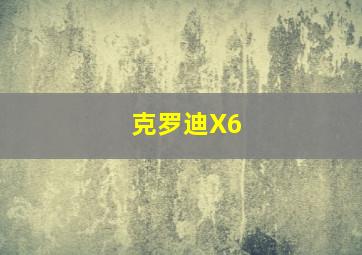 克罗迪X6