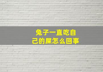 兔子一直吃自己的屎怎么回事